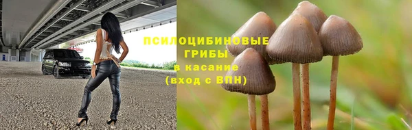 прущие крисы Абинск