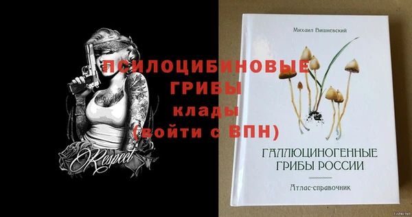 прущие крисы Абинск