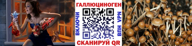Псилоцибиновые грибы Psilocybine cubensis  Ессентукская 
