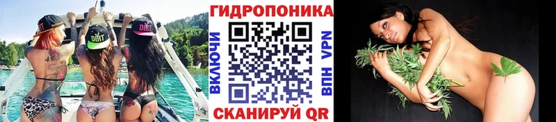 Бошки Шишки LSD WEED  закладки  Ессентукская 